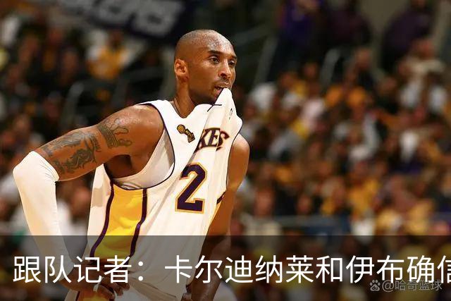 跟队记者：卡尔迪纳莱和伊布确信会在10号前敲定米兰新帅